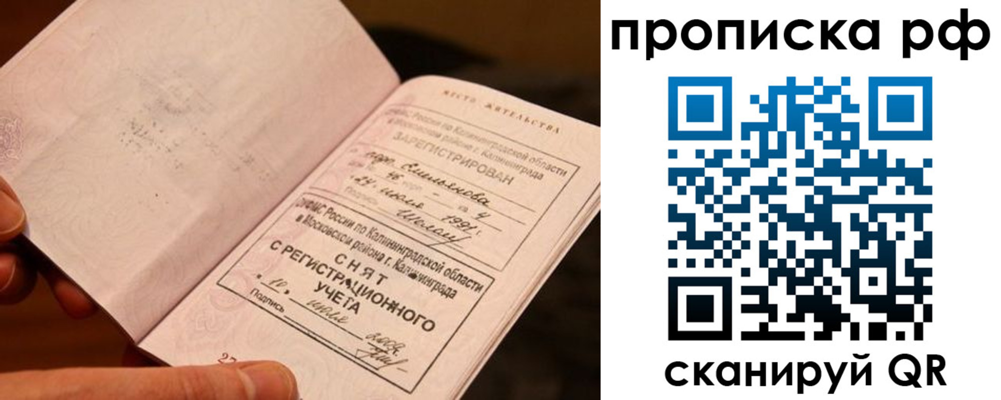 прописка гарантия в Домодедово